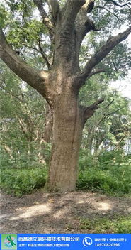 德立康環(huán)境技術(shù) 連接白蟻防治與中草藥科技的專業(yè)橋梁